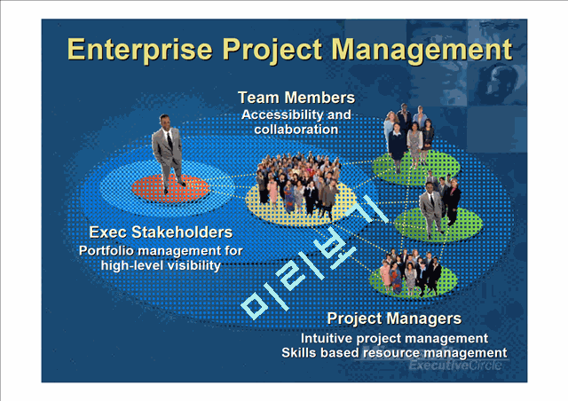 MICROSOFT EnterpriseProject   (5 )